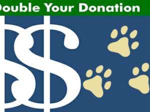 Matching Contributions Matter double your donations