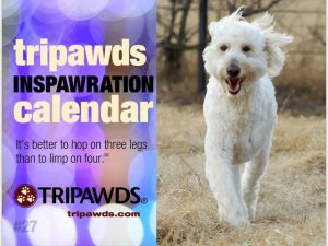 Calendar Cover Boy Sebastian Sebastian