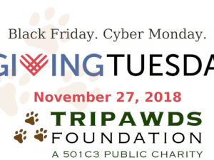 How to Help Tripawds on #GivingTuesday giving tuesday 2018