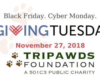 giving tuesday 2018