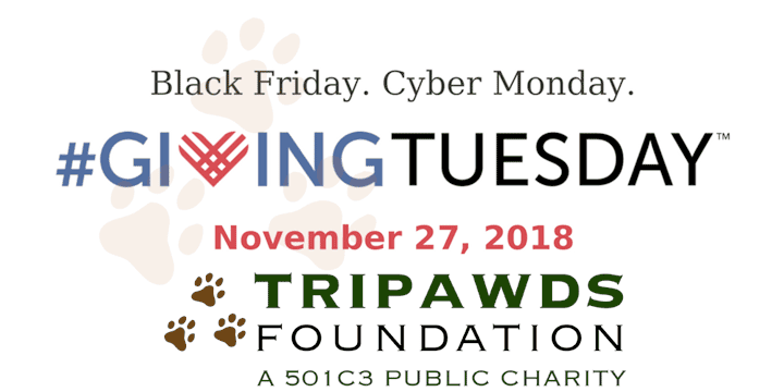 giving tuesday 2018