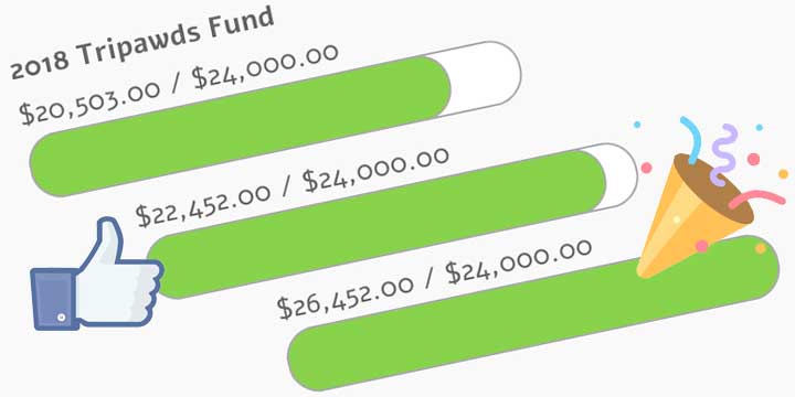 2018 Tripawds Fundraising