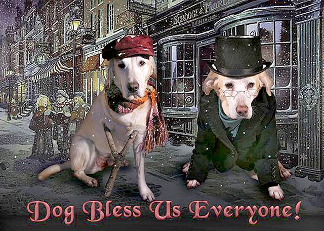 dog bless us