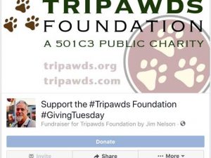 #GivingTuesday Fundraiser Results fundraiser results