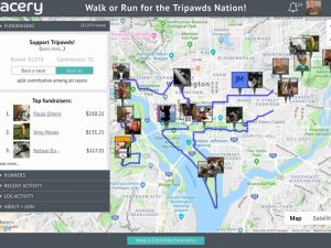 2018 Tripawds Racery Results Tripawds Racery
