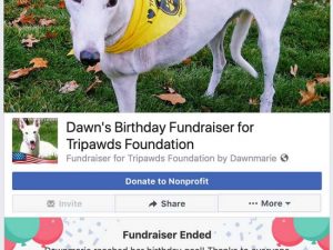3 Paws Up to Facebook Fundraisers! facebook fundraiser