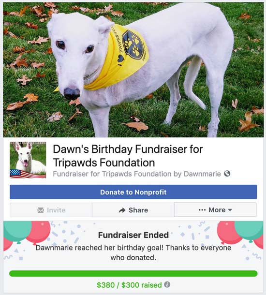 facebook fundraiser