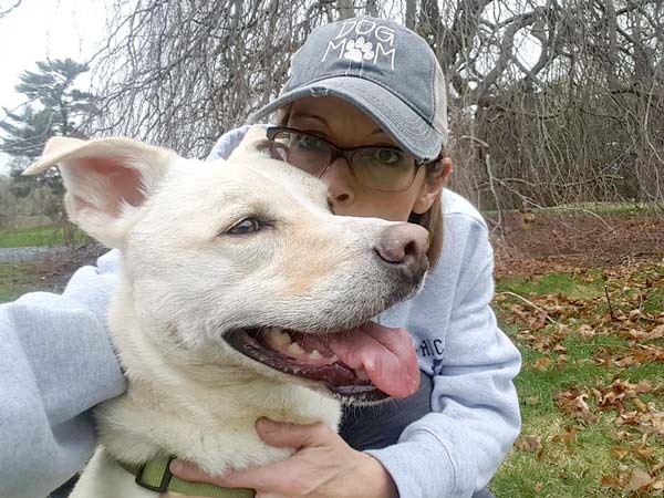 Three Legged Lab Mix Hazel