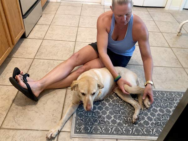 Canine Rehab for Jessie