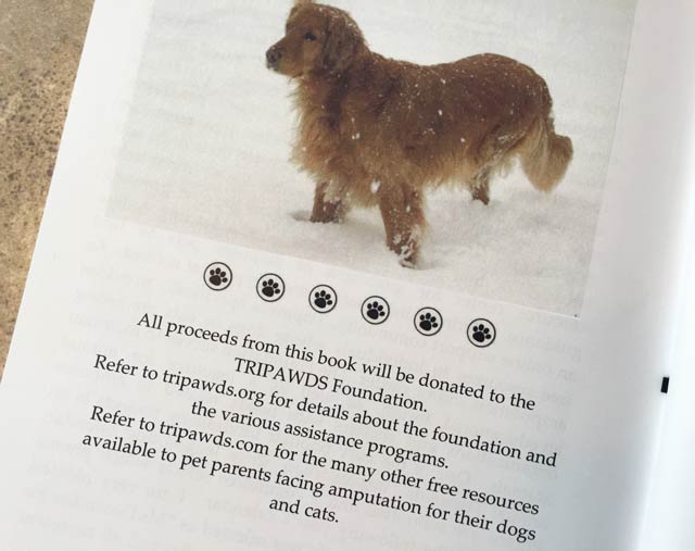 three legged dog book