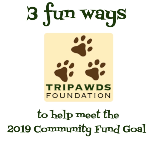 2019 Tripawds Community Fund
