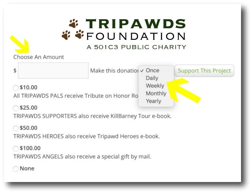 Help Tripawds All Year