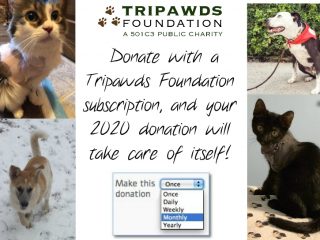 Tripawds Subscription Donation