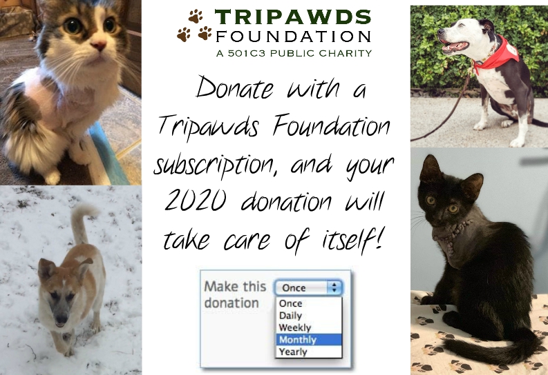 Tripawds Subscription Donation