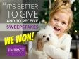 Tripawds Foundation Wins Embrace Pet Insurance Giveaway!