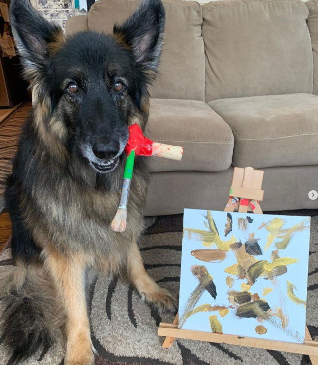 amputee dog painting