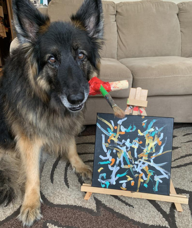 amputee dog paints