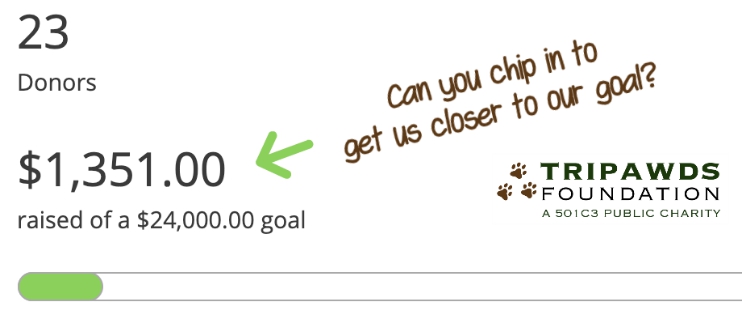 Tripawds Foundation 2020 Fundraising May