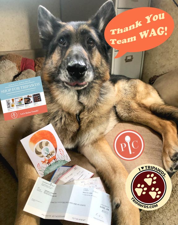 Your Party Fundraisers Help Tripawds Everywhere