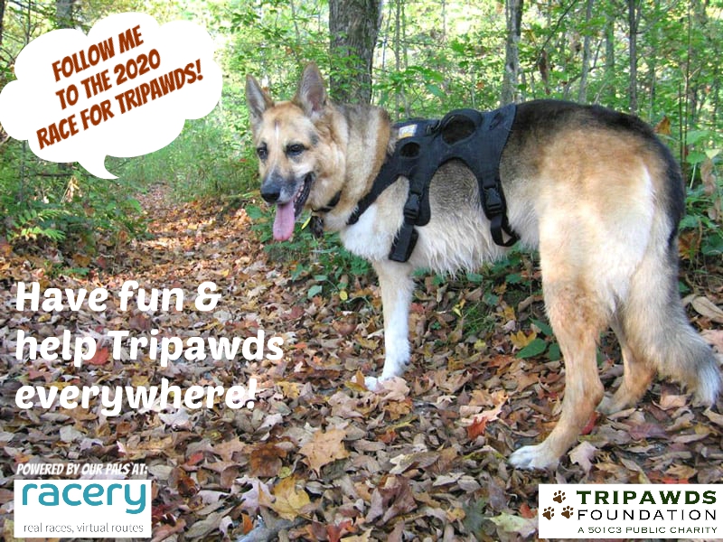 2020 Race for Tripawds
