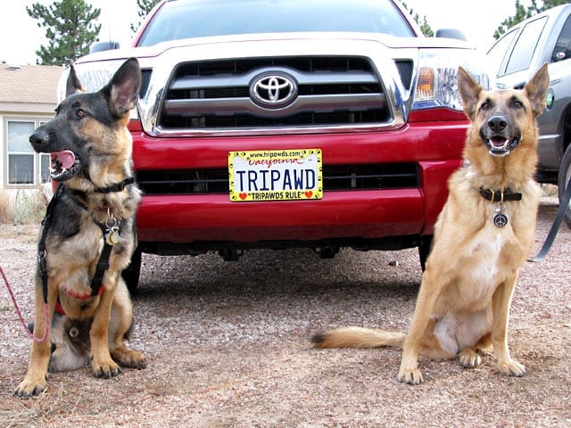 tripawd plate