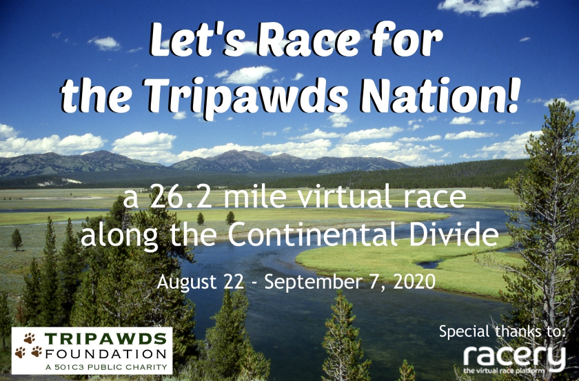 Race for Tripawds Virtual Marathon