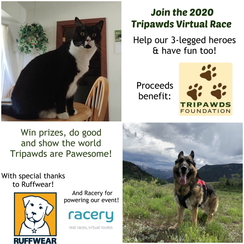 Race for Tripawds 2020