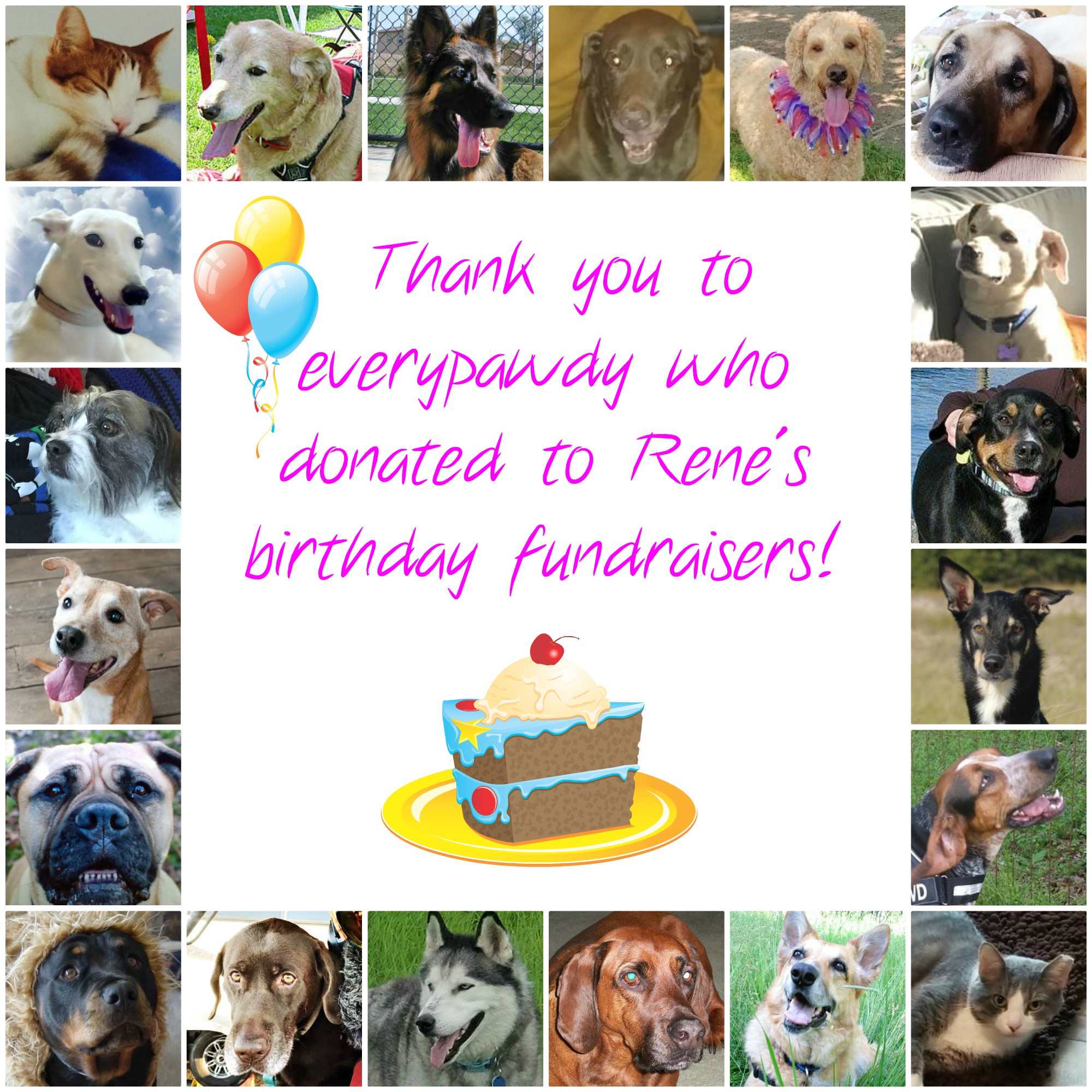 Tripawds Birthday Fundraisers