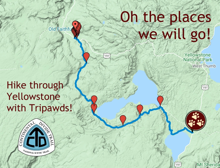 Race for Tripawds Virtual Marathon