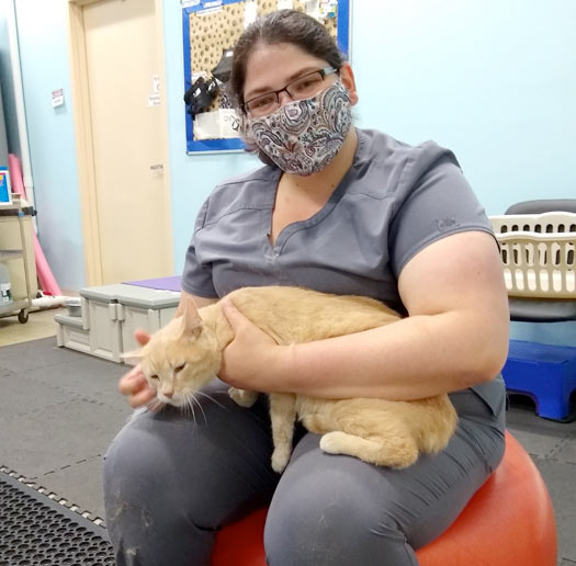 cat rehab therapy story