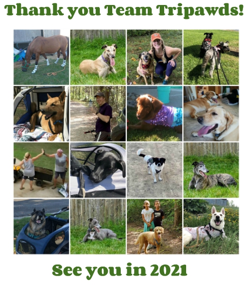 Team Tripawds 2020