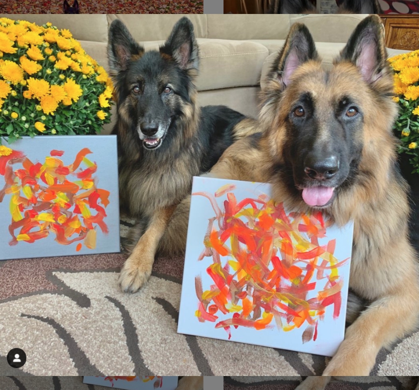 The painting dog duo