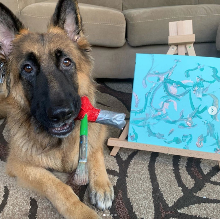 Tripawds paintings by Schultz