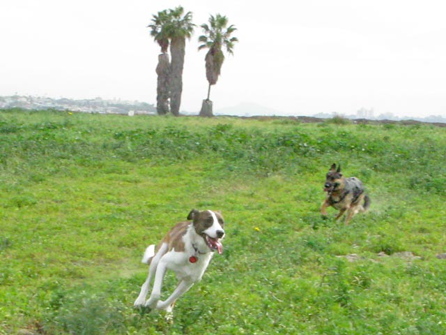 wyatt and bernie