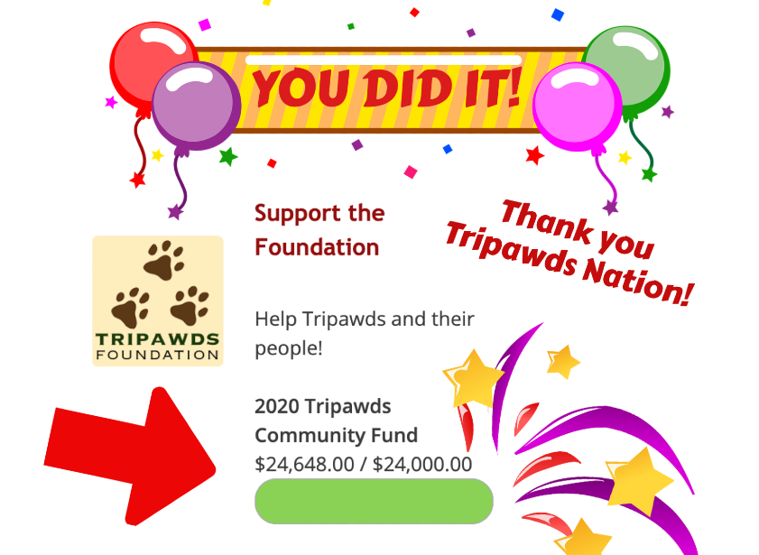 2020 Tripawds Community Fund Final