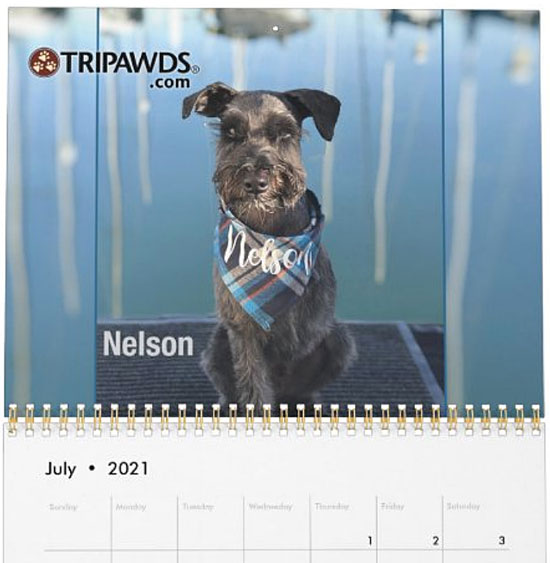 Tripawds Calendar