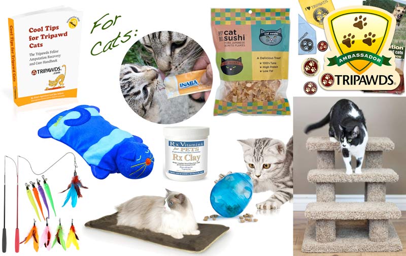 https://tripawds.org/files/2021/01/kccp-items-cat.jpg