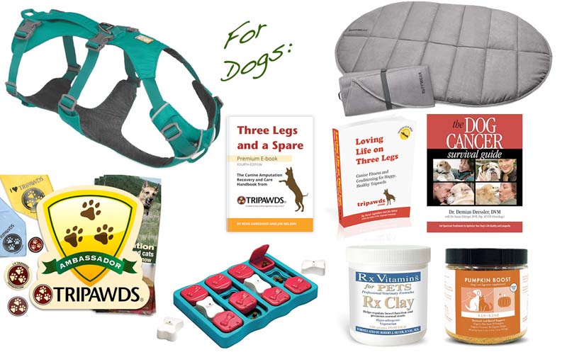 Kaiserin Care Package Is Best Gift for Dog with Cancer, or Cat!