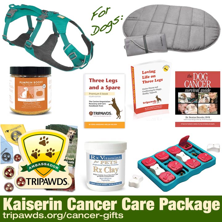 Biz Builders  Thirty one gifts, Chemo care, Chemo care package