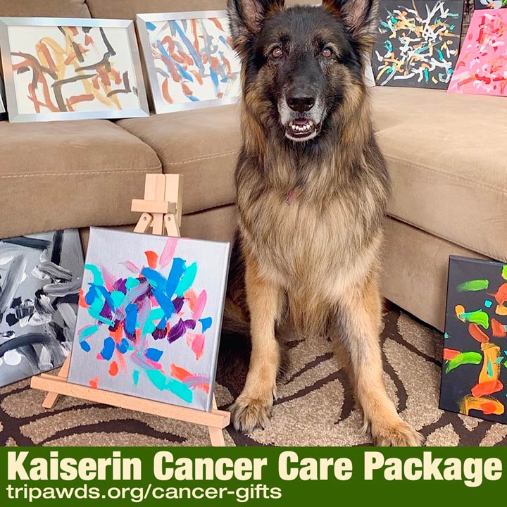 pet cancer care package program