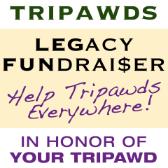 legacy fundraiser
