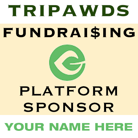 sponsor fundraising