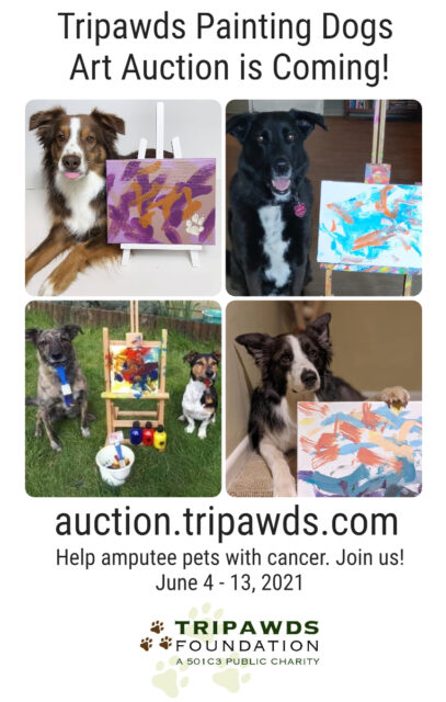Painting Dogs Auction Promo Pic