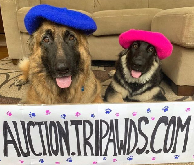 Tripawds Painting Dogs Art Auction begins