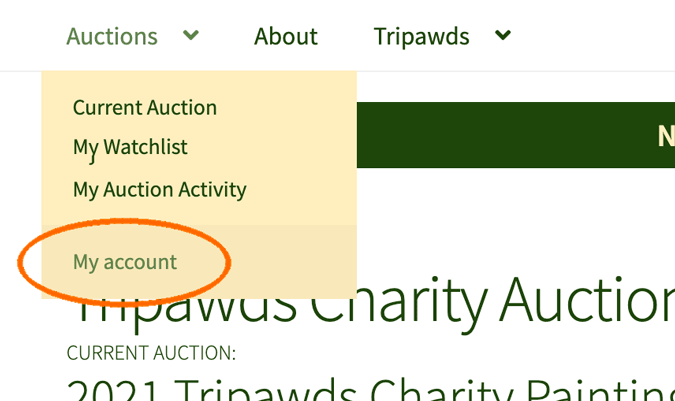 Tripawds Painting Dogs Art Auctions registration