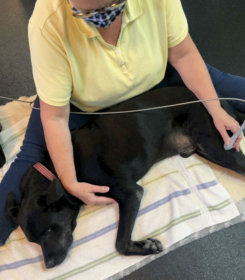 cold laser therapy