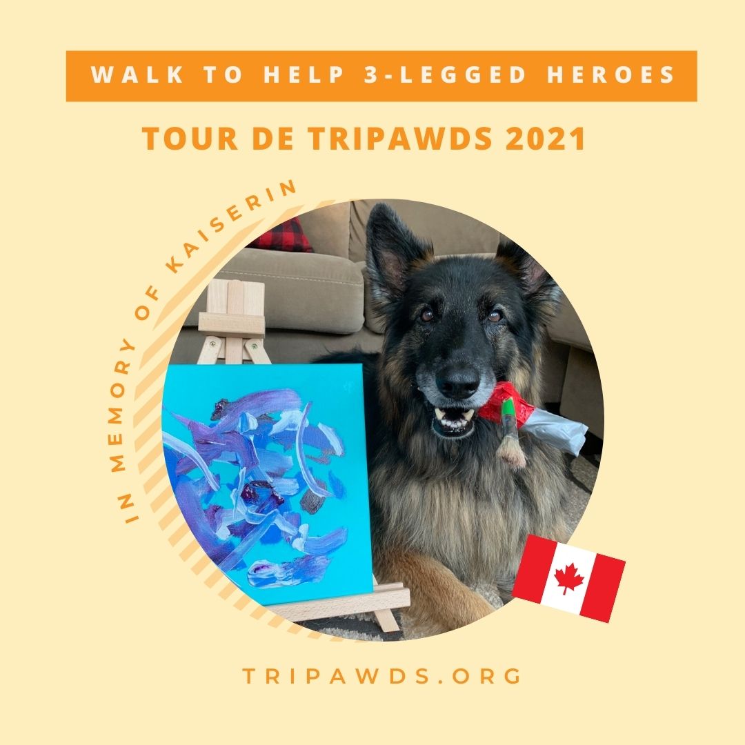 Tour de Tripawds 2021 Kaiserin Tribute