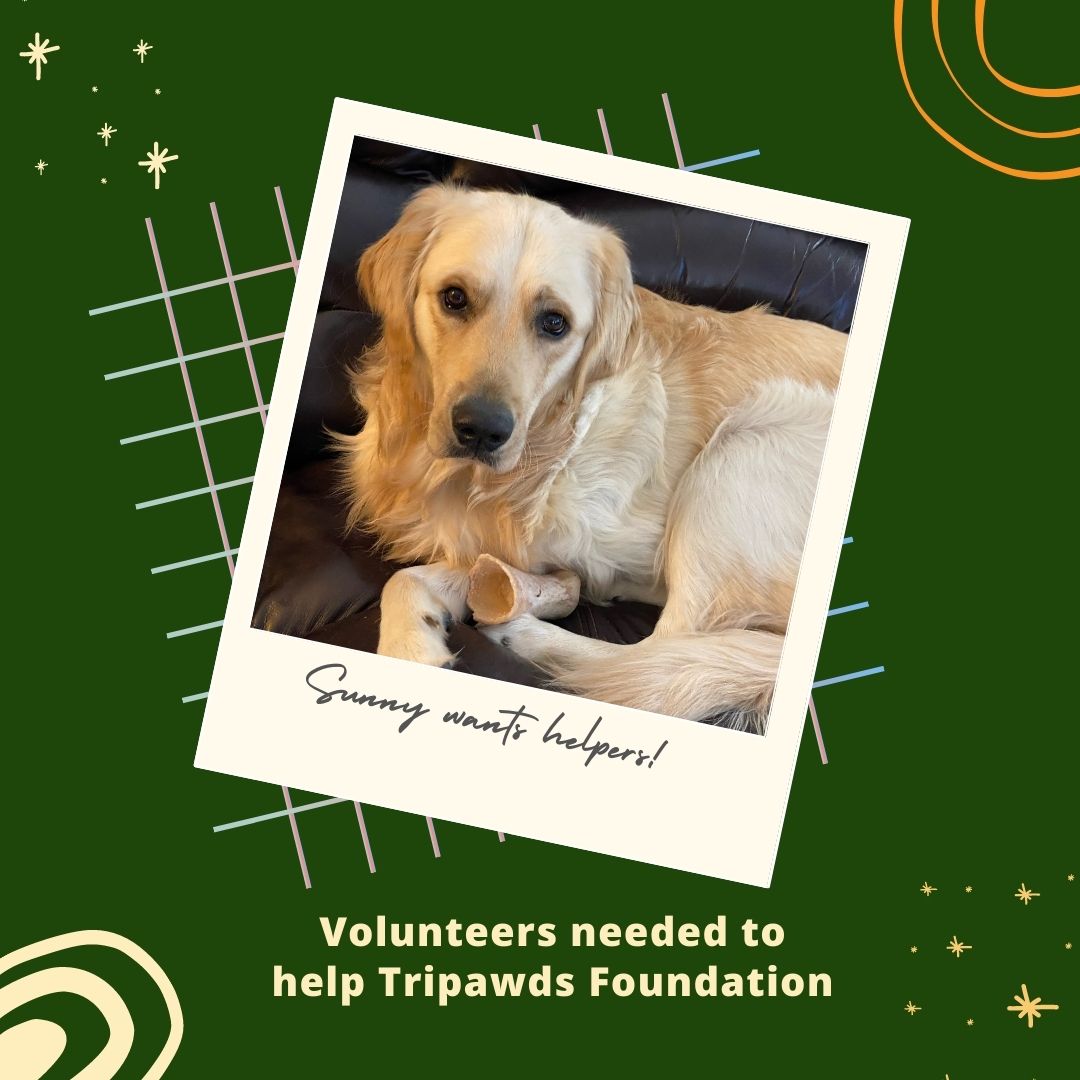 volunteers help Tripawds Foundation