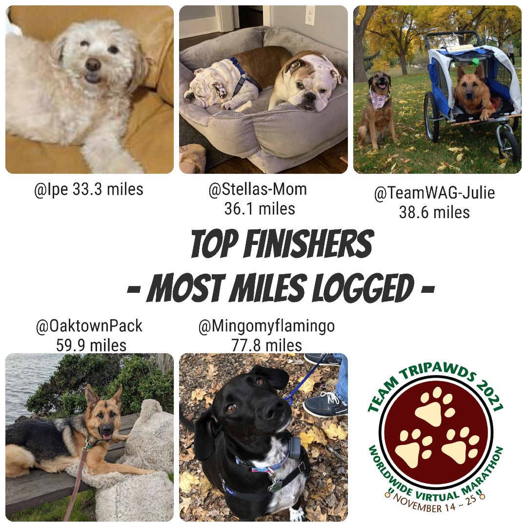 Tripawds Top Fundraisers 2021