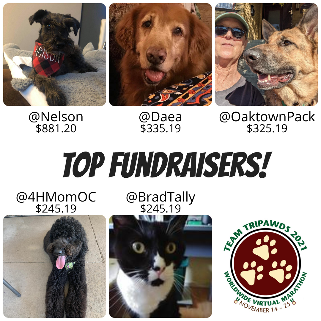 Top Tripawds Virtual Marathon Fundraisers